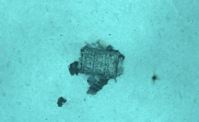 Archivo - Un bidón con residuos radiactivos en la Fosa Atlántica