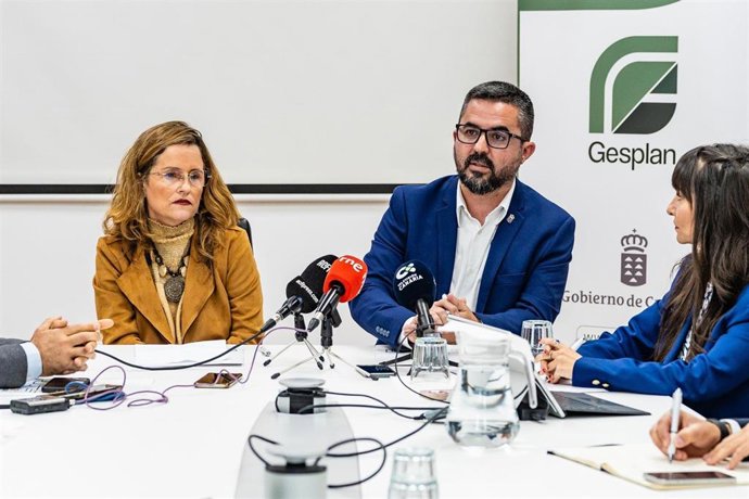 La Oficina Virtual del Reto Demográfico del Gobierno canario atiende a más del 70% de las 245 solicitudes recibidas