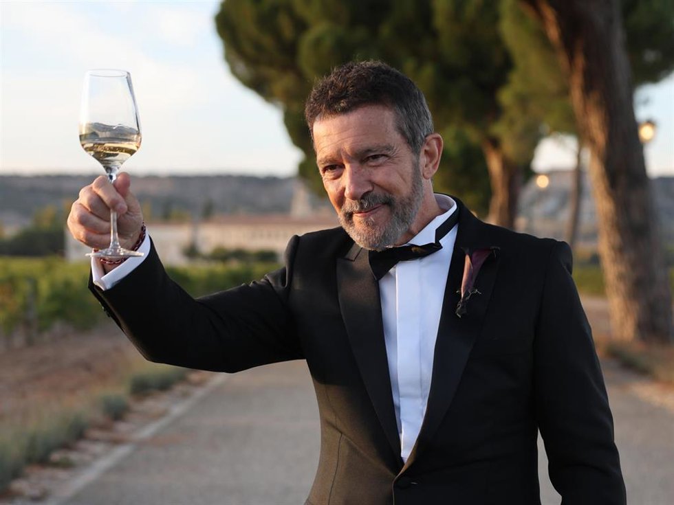 Antonio Banderas brinda tras la celebración de la boda de su hija, Stella del Carmen.