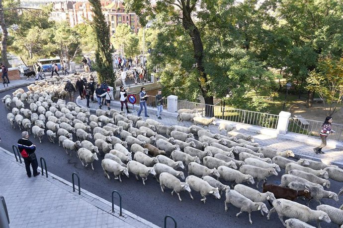 Vídeo de la noticia