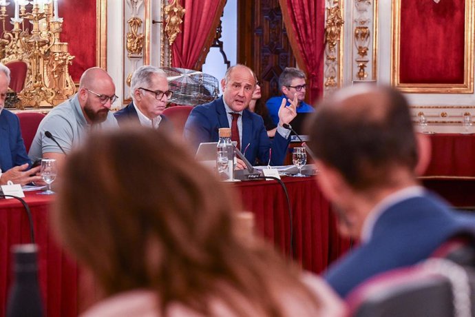 Archivo - El vicepresidente primero de la Diputación de Cádiz, Juancho Ortiz, en un momento de un pleno provincial.