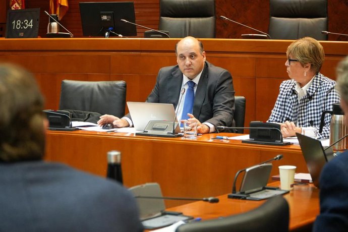 El presidente de la Cámara de Cuentas, Jesús Royo, en una comparecencia parlamentaria anterior.