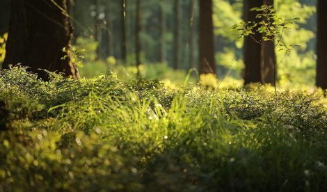Es Andalucía - Sevilla