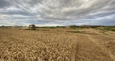 EpAgro - Unión Europea