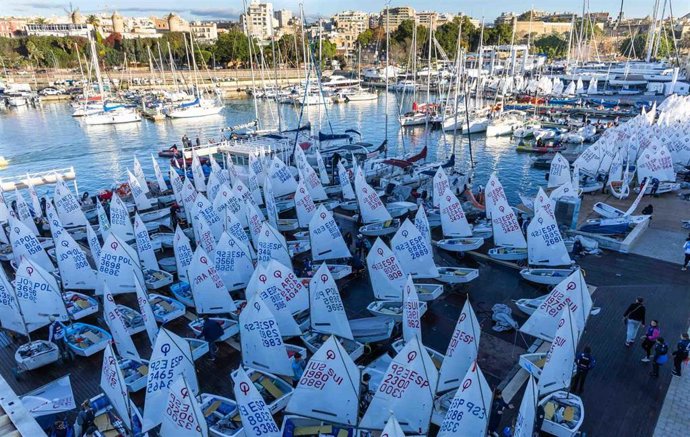 Imagen de la flota de Optimista durante el Trofeo Ciutat de Palma de 2024