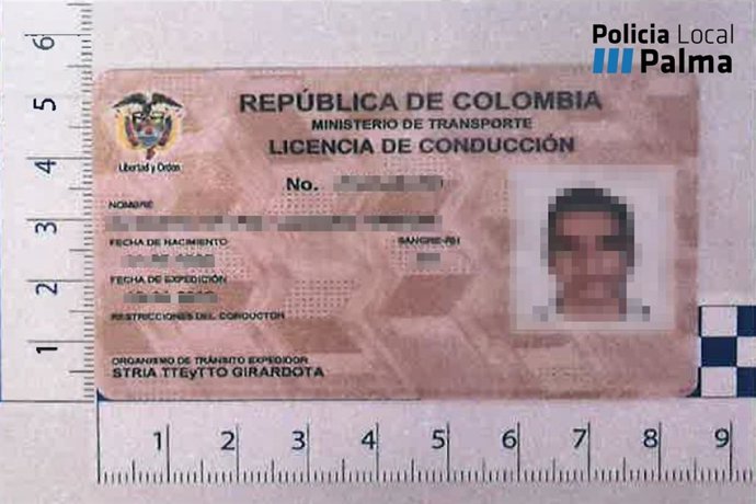 Carne falsificado de un conductor reincidente