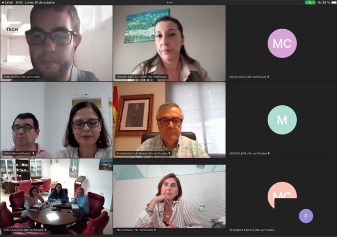 Sesión del grupo de trabajo de la FAMP sobre 'silver economy'.