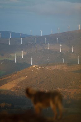 Archivo - Arquivo - Un parque eólico, a 28 de marzo de 2025, en Muras, Lugo, Galicia (España). O Tribunal Supremo ditou unha sentenza que despexa o futuro de moitos proxectos da industria eólica en Galicia. O feito de que dous ou máis instalacións de parq