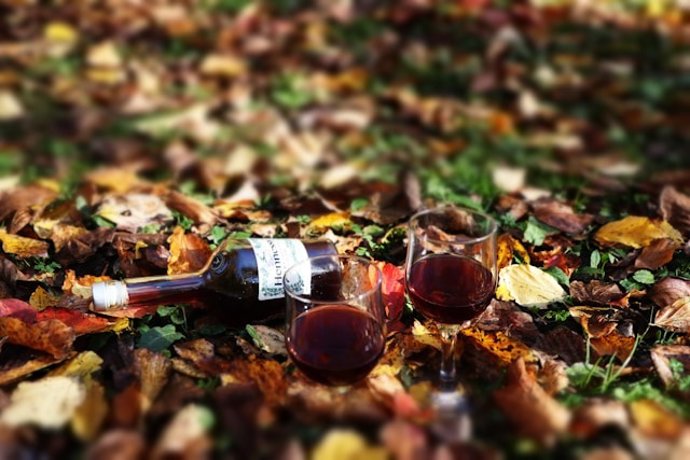 Los mejores vinos para el otoño