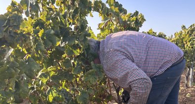 EpAgro - Agricultura