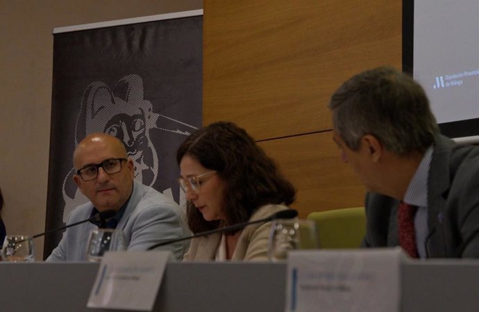 El vicepresidente y diputado de Cultura, Manuel López Mestanza, durante la presentación de Fancine