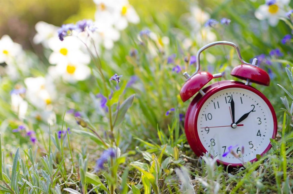 Archivo - Reloj en primavera.