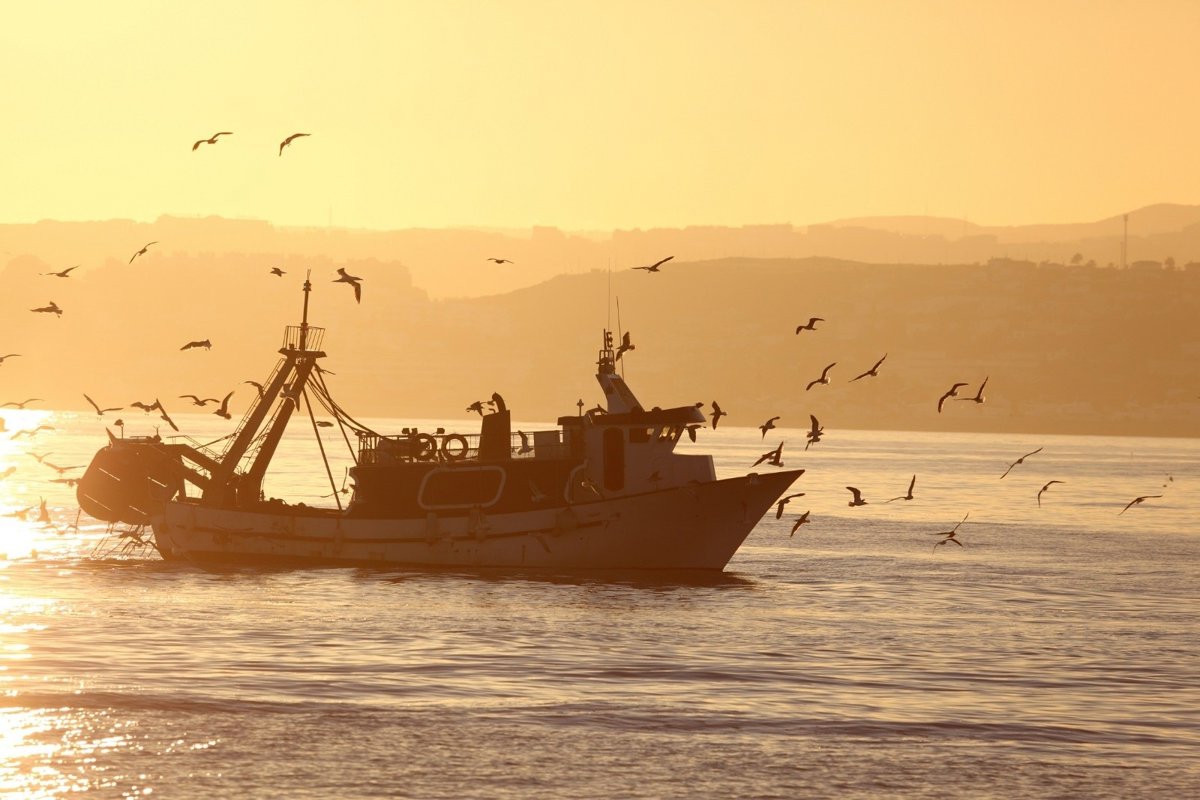 PRC y PP apoyan la propuesta de Vox para bajar el IVA del pescado al 4 por ciento