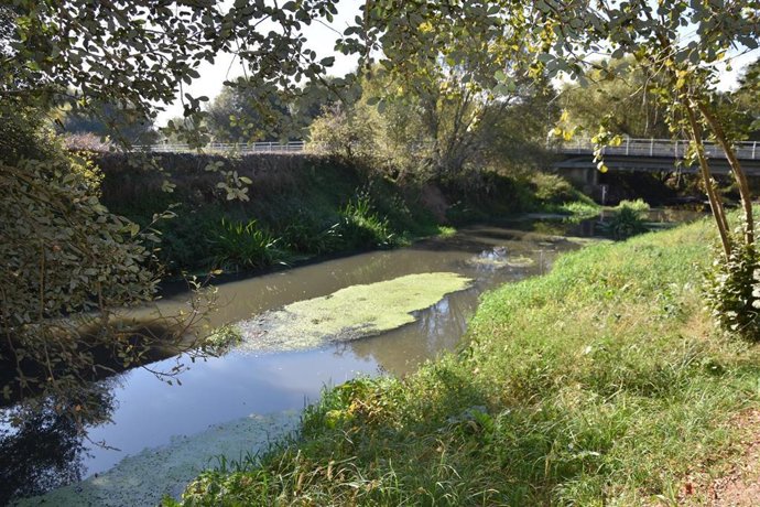 El Ayuntamiento de Ames (A Coruña) denuncia ante la Fiscalía de Medio Ambiente el vertido en el río Sar