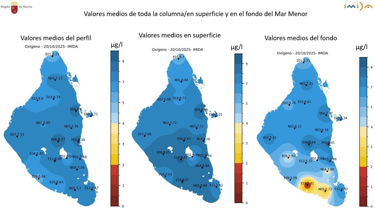 El IMIDA detecta una reducción del 42% del nivel de clorofila del Mar Menor una semana después de la dana