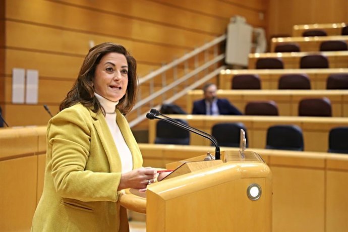 Archivo - La senadora por La Rioja, Concha Andreu.