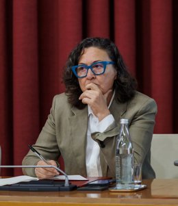 La portavoz del Grupo Municipal de Podemos-IU, Amaia Castro