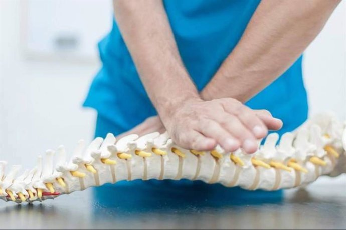 La osteopatía y su impacto en el paciente: una formación que cambia cómo entendemos el cuerpo