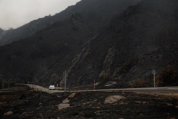 Archivo - Campo quemado por el incendio en el entorno de los Picos de Europa en agosto de 2025, en Tierra de la Riena, (León).