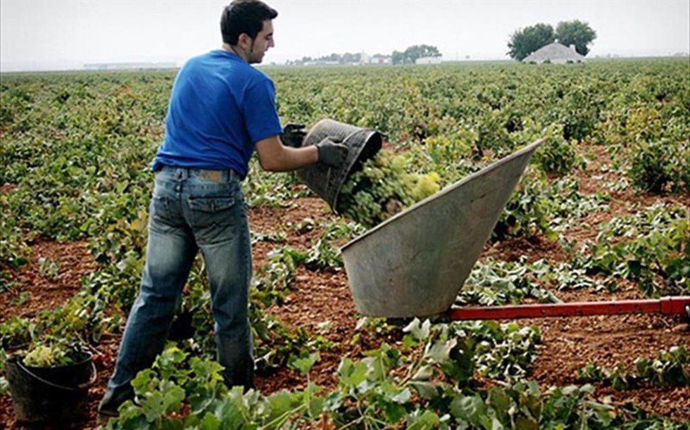 Archivo - Un joven agricultor trabajando en el campo.
