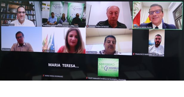Federación Andaluza de Municipios y Provincias