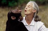 Foto: Confirmada la causa de la muerte de Jane Goodall