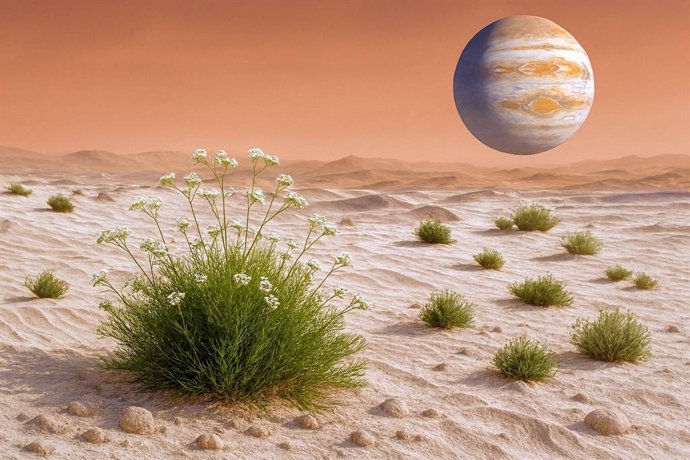Recreación de cultivo de una planta en Marte.