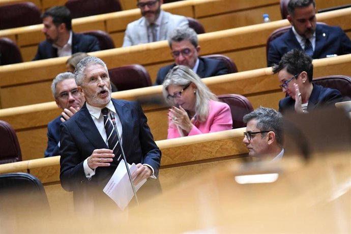 El ministro del Interior, Fernando Grande-Marlaska, interviene durante una sesión de control al Gobierno en el Senado