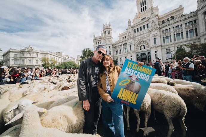 Animal tendrá una segunda temporada en Netflix