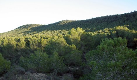 Valencià