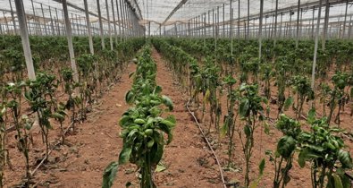 Es  Andalucía - Almería