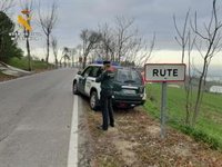 Seis detenidos y 18 investigados con más de 3.000 plantas de marihuana en Rute (Córdoba)