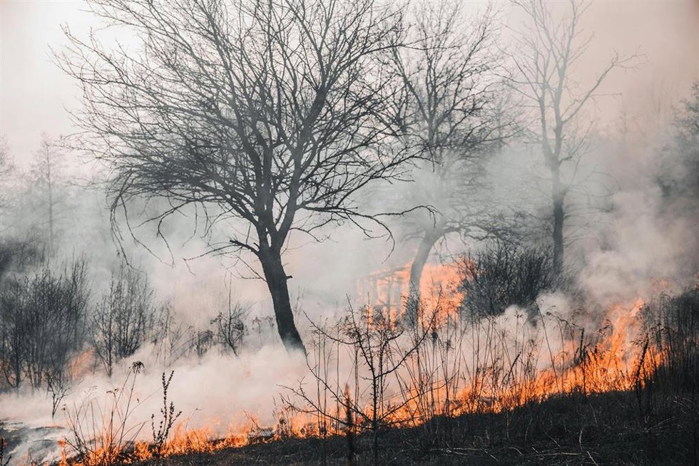 Archivo - Los incendios en imagen de archivo.