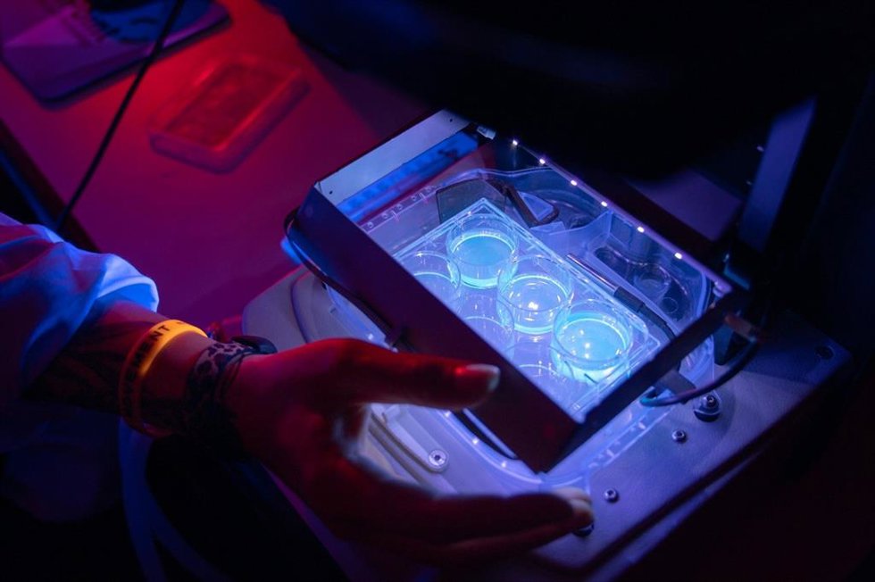 Imagen de un laboratorio del CSIC