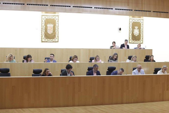 Un momento de la sesión plenaria ordinaria de la Diputación de Málaga del mes de octubre.