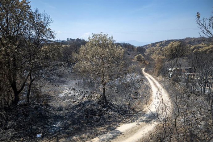 Archivo - Zona calcinada de Las Médulas por el incendio de Yeres-Llamas de la Cabrera, en la provincia de León.
