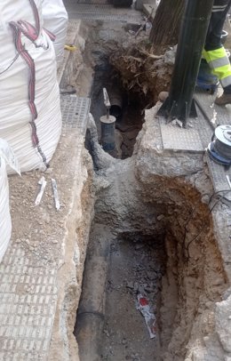 Un árbol resulta dañado al no protegerlo la empresa encargada de una obra privada en la calle Pedro María Ric de Zaragoza