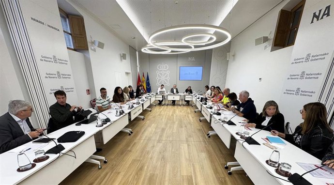 Reunión del Consejo Navarro del Voluntariado.