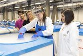 Foto: España se convierte en miembro de la Infraestructura Europea de Biobancos, la mayor red de recursos biológicos del mundo