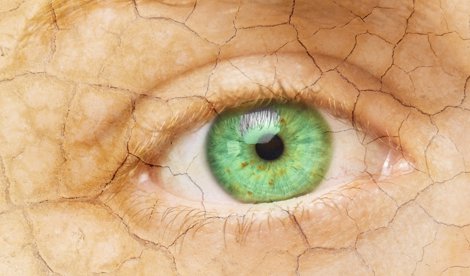 Investigación