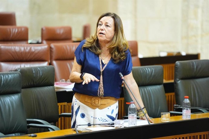 La consejera de Desarrollo Educativo, María del Carmen Castillo, en el Pleno del Parlamento del 23 de octubre de 2025.