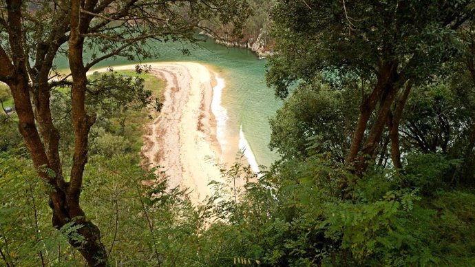 WWF lanza una campaña para urgir a la aprobación de un Plan Nacional de Restauración de la Naturaleza.