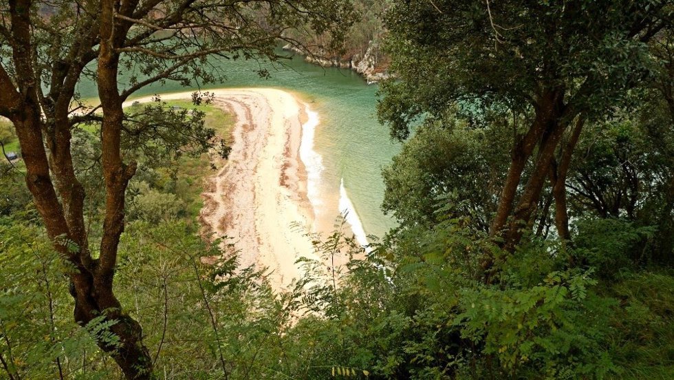 WWF lanza una campaña para urgir a la aprobación de un Plan Nacional de Restauración de la Naturaleza.