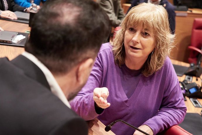 Archivo - La vicepresidenta segunda y consejera de Memoria y Convivencia, Acción Exterior y Euskera del Gobierno de Navarra, Ana Ollo..