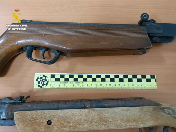 Investigado un hombre acusado de matar y herir a gatos con una carabina de aire comprimido