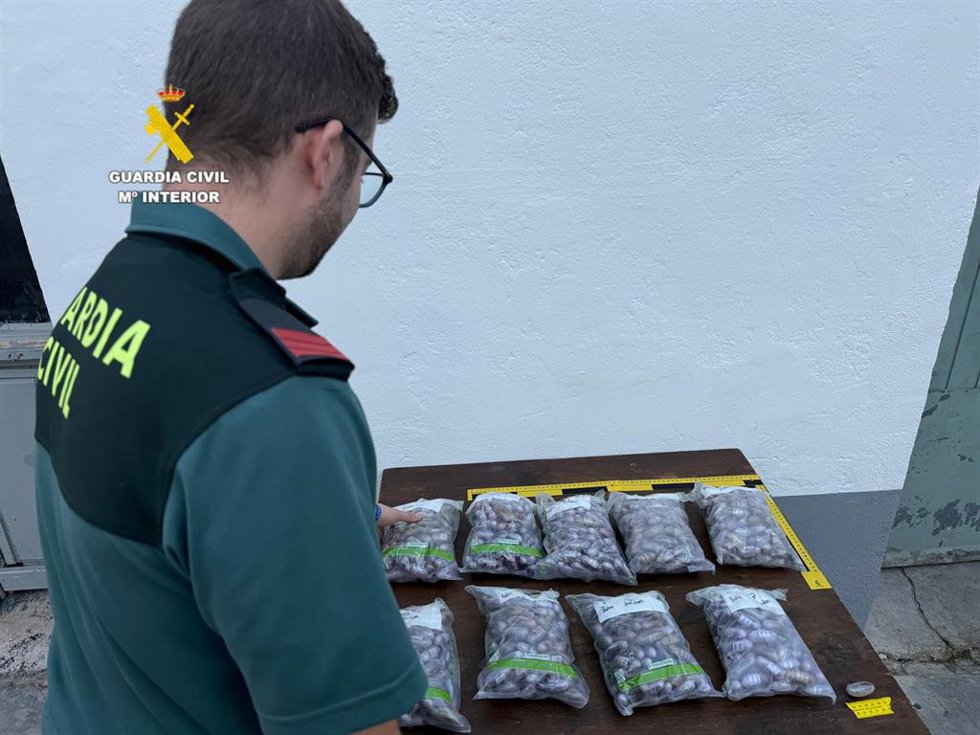 Detenido el ocupante de un vehículo con más de 9,8 kilos y medio de hachís en la AP-7