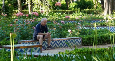 Cooperación y Desarrollo