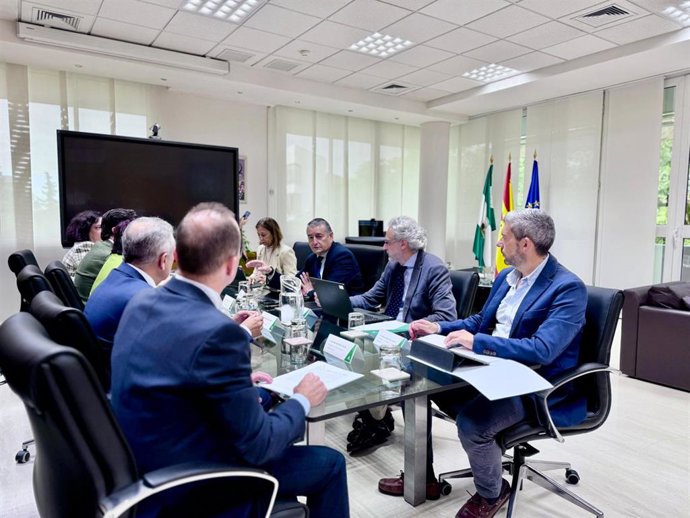 El consejero de Sanidad, Presidencia y Emergencias, Antonio Sanz, reunido con el Consejo Andaluz de Enfermería.