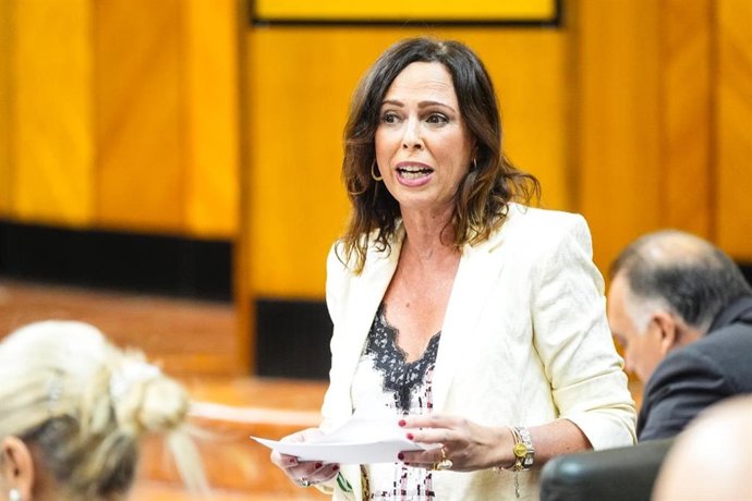 La consejera de Fomento, Articulación del Territorio y Vivienda, Rocío Díaz, en sesión parlamentaria.