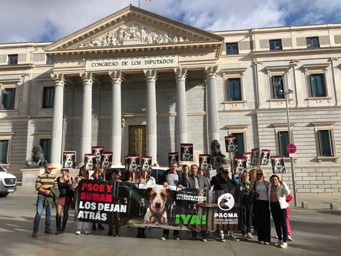 PACMA exige que los perros de caza sean incluidos en la Ley de Protección Animal: "PSOE y Sumar los dejan atrás".